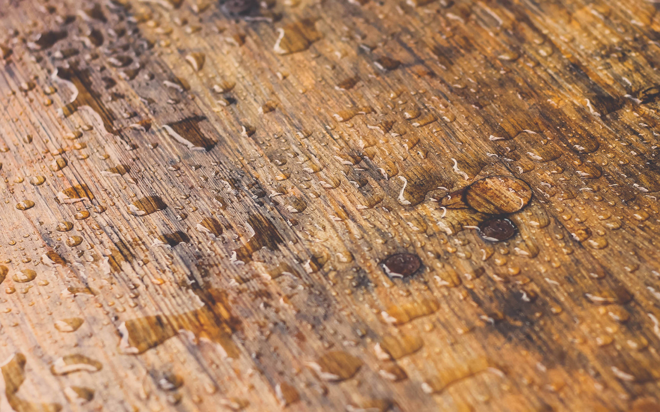 Piece of wood covered in rain drops.