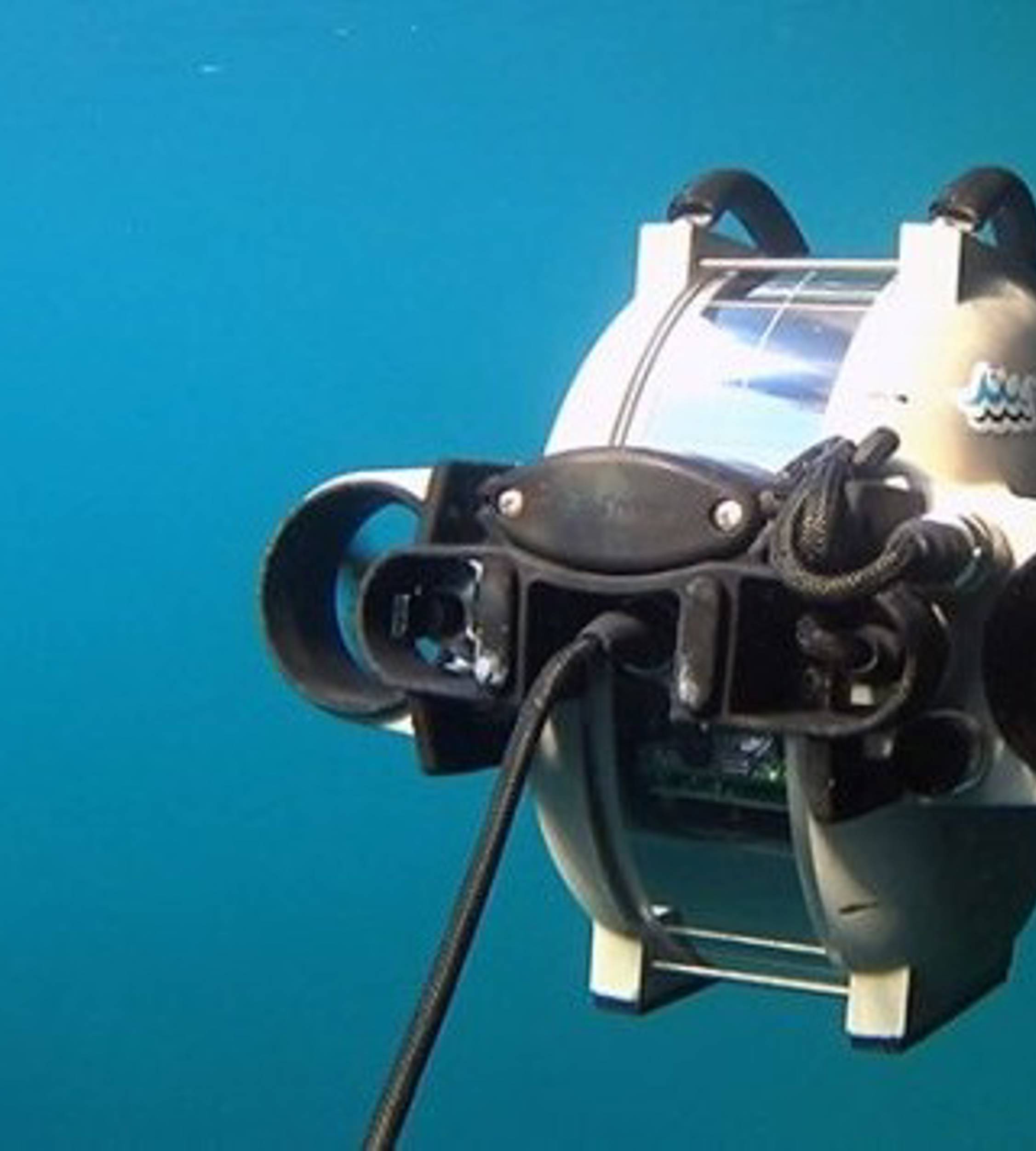 Underwater marine robot