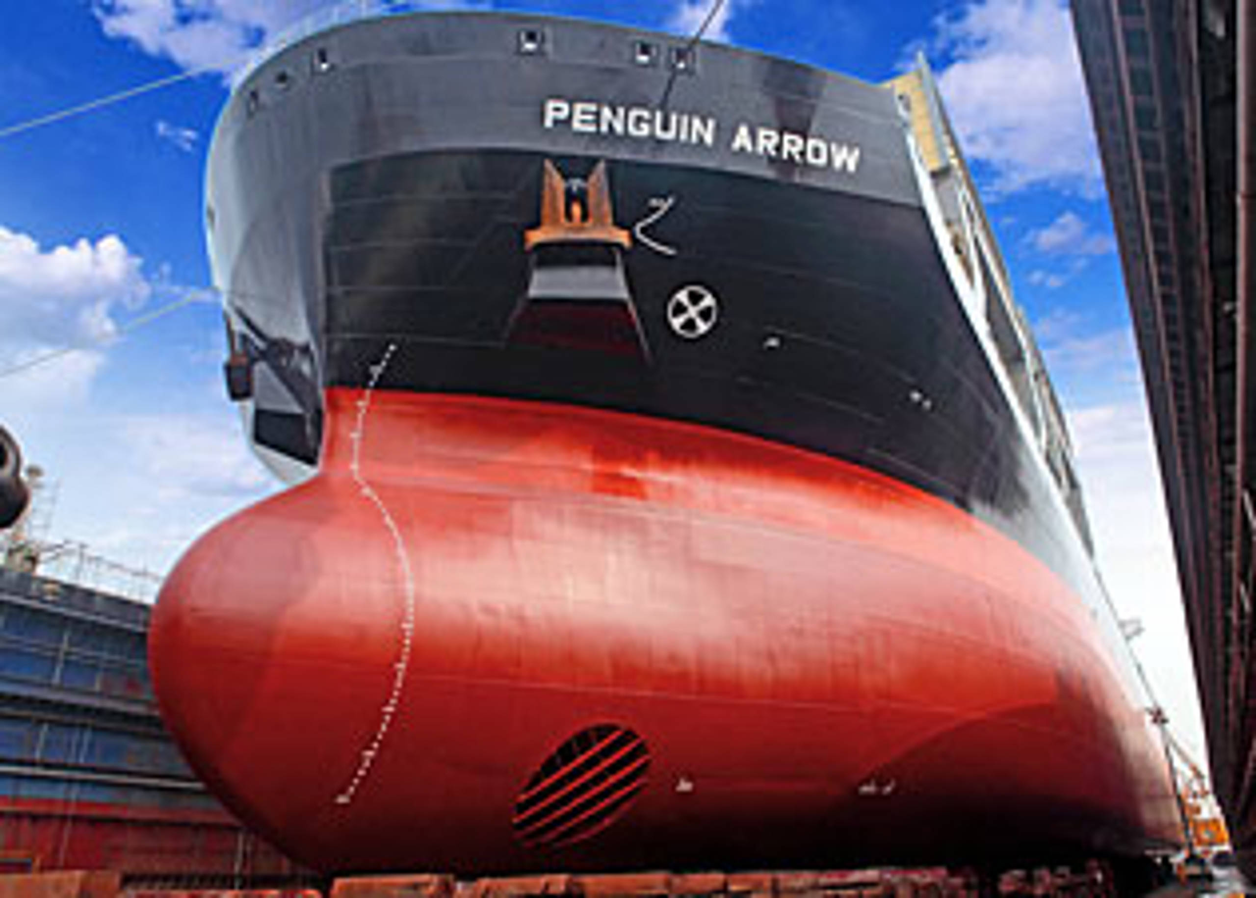 The timber carrier Penguin Arrow in drydock